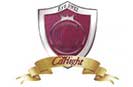 Carlight